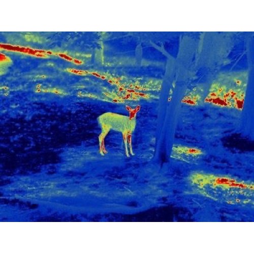 Прицел тепловизионный GUIDE TS450 в Арзамасе