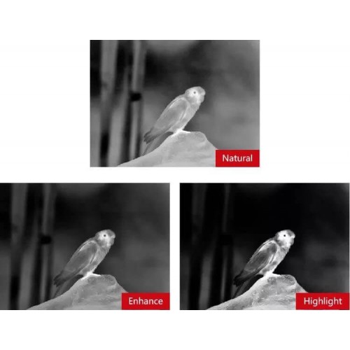 Тепловизионный бинокуляр Guide TN430 400х300, ø35мм, лазерный дальномер в Арзамасе