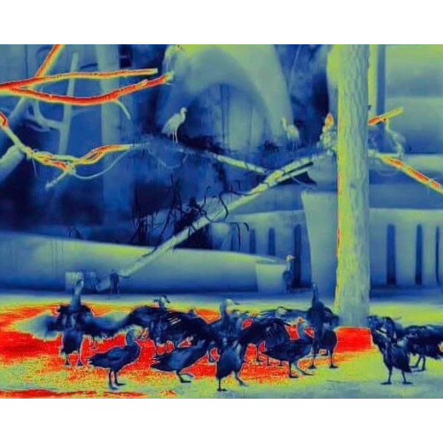 Тепловизионный бинокуляр Guide TN430 400х300, ø35мм, лазерный дальномер в Арзамасе