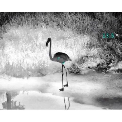 Тепловизионный бинокуляр Guide TN430 400х300, ø35мм, лазерный дальномер в Арзамасе