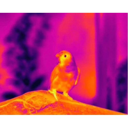 Тепловизионный бинокуляр Guide TN430 400х300, ø35мм, лазерный дальномер в Арзамасе